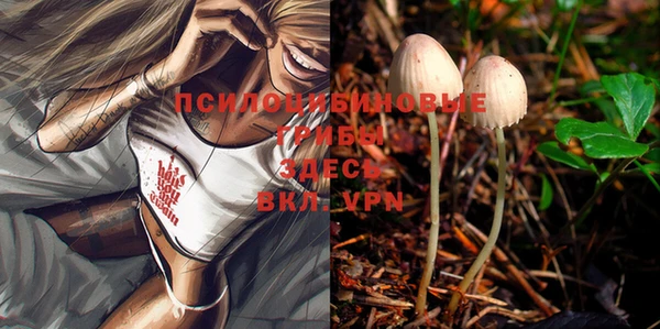 прущая мука Богданович